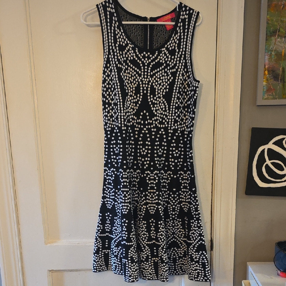Catherine Malandrino Black and White Sleeveless Mini Dress